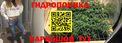 дурь Малгобек