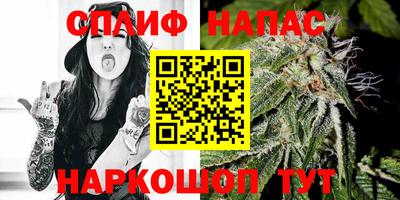 мдпв Можга