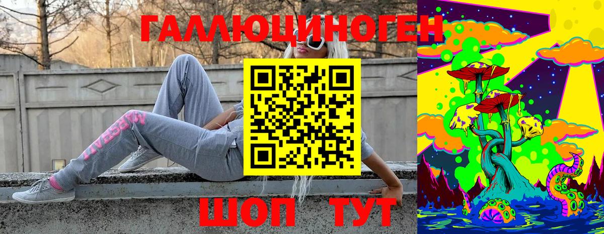 Чистополь  цены наркотик  Вход с VPN  Псилоцибиновые грибы GOLDEN TEACHER  Псилоцибиновые грибы прущие грибы 