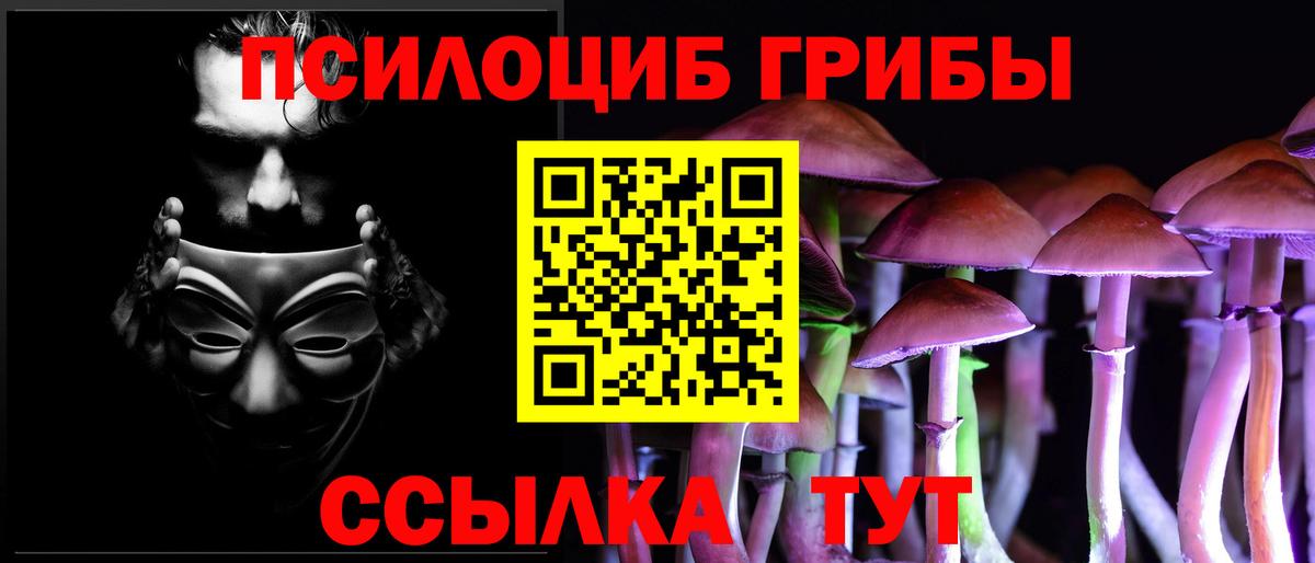 Галлюциногенные грибы GOLDEN TEACHER Чистополь